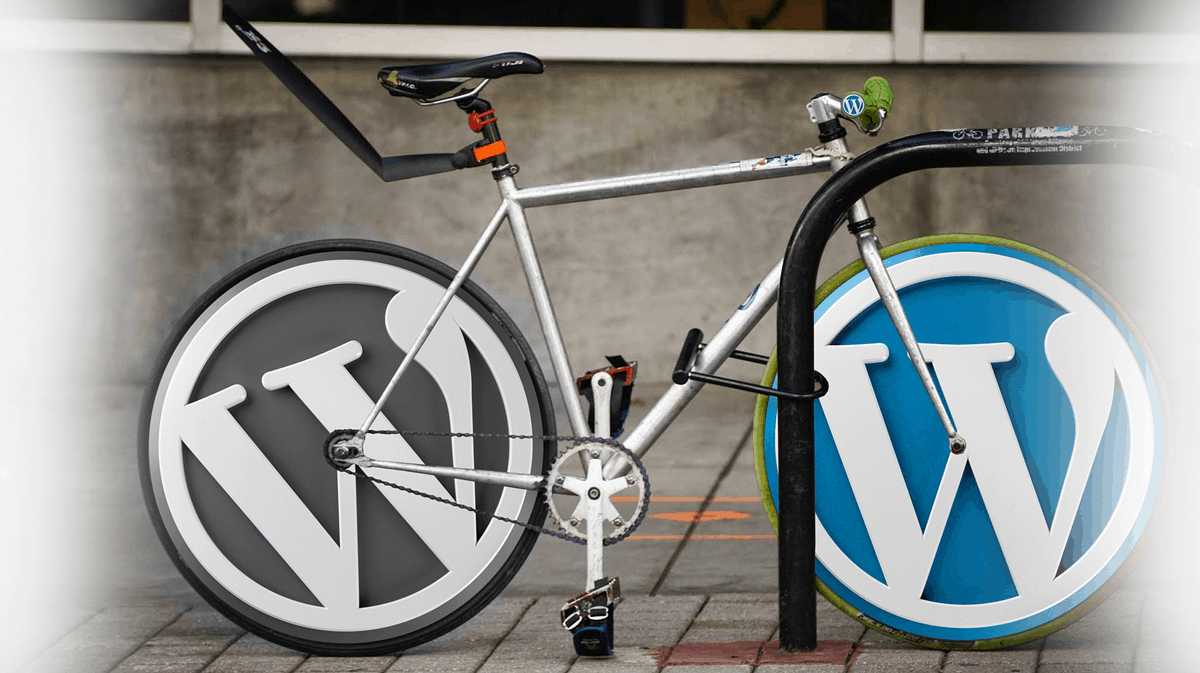 Wordpress.org VS WordPress.com – מה טוב יותר?
